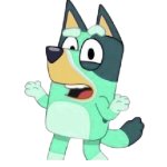 Kkuity Nyltick