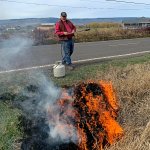 Burning grass