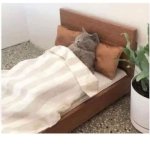 Sleeping cat in bed