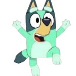 Kkuity Nyltick