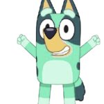 Kkuity Nyltick