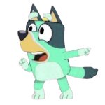 Kkuity Nyltick