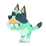 Kkuity Nyltick