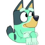 Kkuity Nyltick