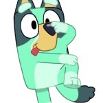Kkuity Nyltick
