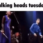 talking heads tuesday GIF Template