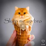 Slurp me up bro meme