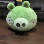 Pig