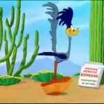 HDL Road Runner GIF Template