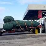 Phallic Shipment