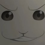 cube haru stare