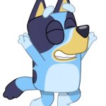 Bluey Heeler