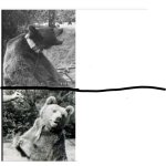 Wojtek Drake Meme