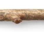 stick