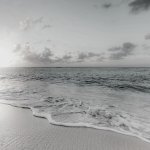 Beach.