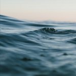 Wave.