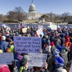 Protestors