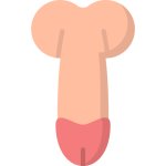 penis