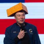 Musk Cheesehead