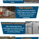 Fruit And Vegetable Dryer