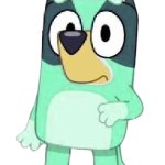 Kkuity Nyltick