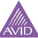 Classic Avid