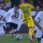 Colo colo