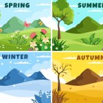 All four seasons