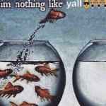 Nothing like yall