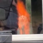 Cat on fire