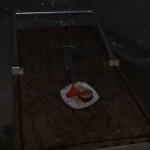 How to trap an american