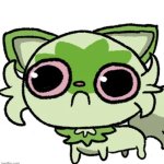 Grass Cat