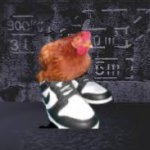 The chicken