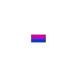 bi flag