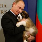 putin s dog