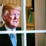 Trump window unhappy upset frustrated stupid