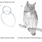 How to draw an owl