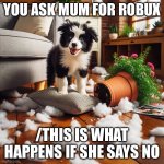 lol | YOU ASK MUM FOR ROBUX; /THIS IS WHAT HAPPENS IF SHE SAYS NO | image tagged in puppy wrecking the house | made w/ Imgflip meme maker