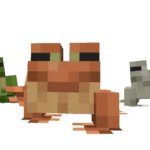 Minecraft Frogs