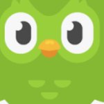 Duolingo hird