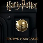 Harry potter pinball