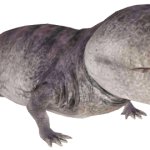 Koolasuchus (JWTG Design)