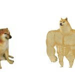small doge big doge