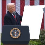Trump tarriff blank
