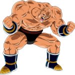 nappa