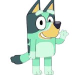 Kkuity Nyltick