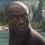 Seal Seal