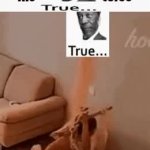 The true curse GIF Template
