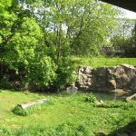 Zoo Tiger Exhibit
