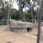 Zoo Giraffe Exhibit